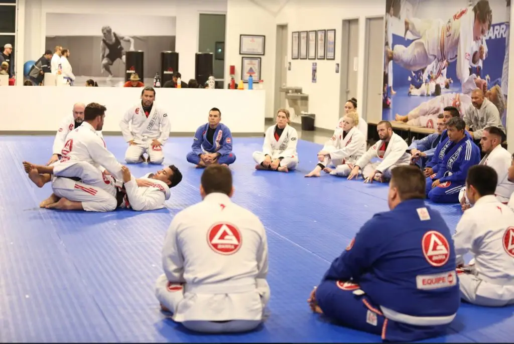 Jiu Jitsu workshops