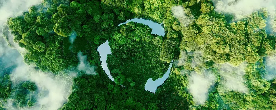 How Carbon Neutral Services Help Businesses and Social Well-Being