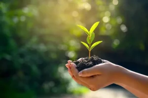 Social well-being from sustainability
