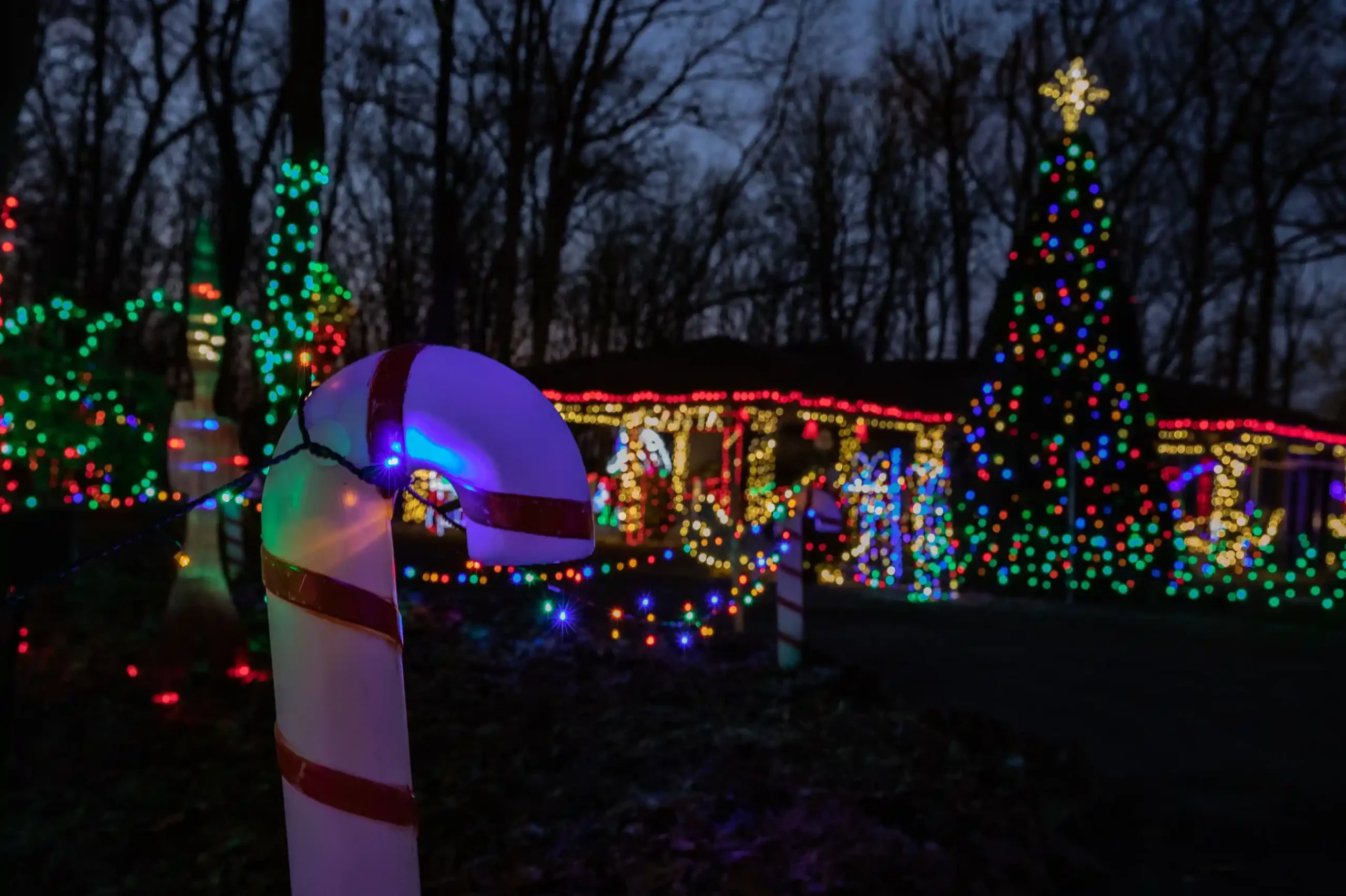 How Christmas Magic York PA Enhances Community Engagement and Drives Traffic for Local Businesses