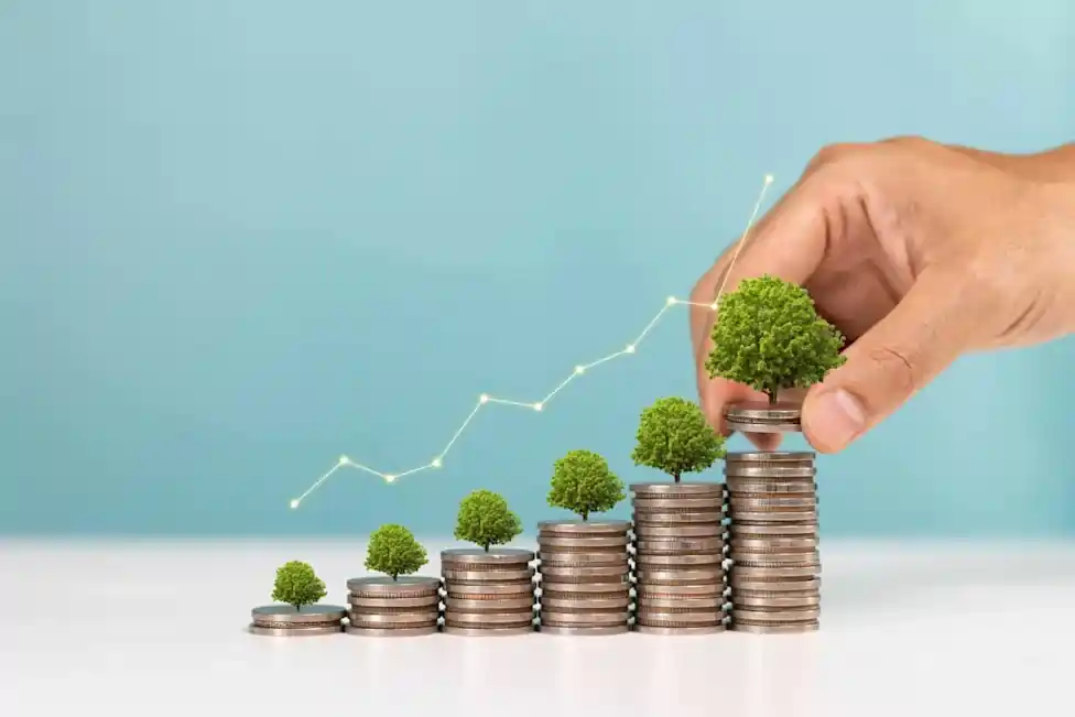 The Benefits of Elk River Wealth Management for Business Owners Focused on Long-Term Growth