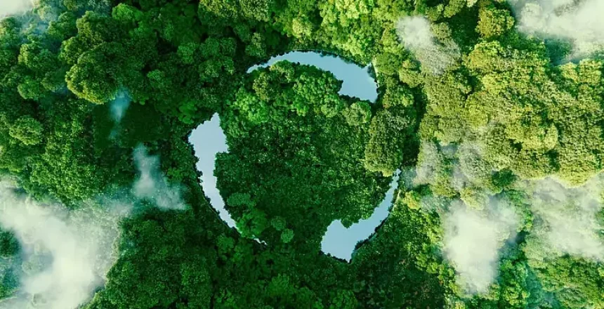 How Carbon Neutral Services Help Businesses and Social Well-Being