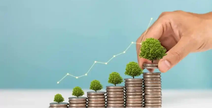 The Benefits of Elk River Wealth Management for Business Owners Focused on Long-Term Growth